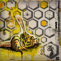 dead_bee_thumb
